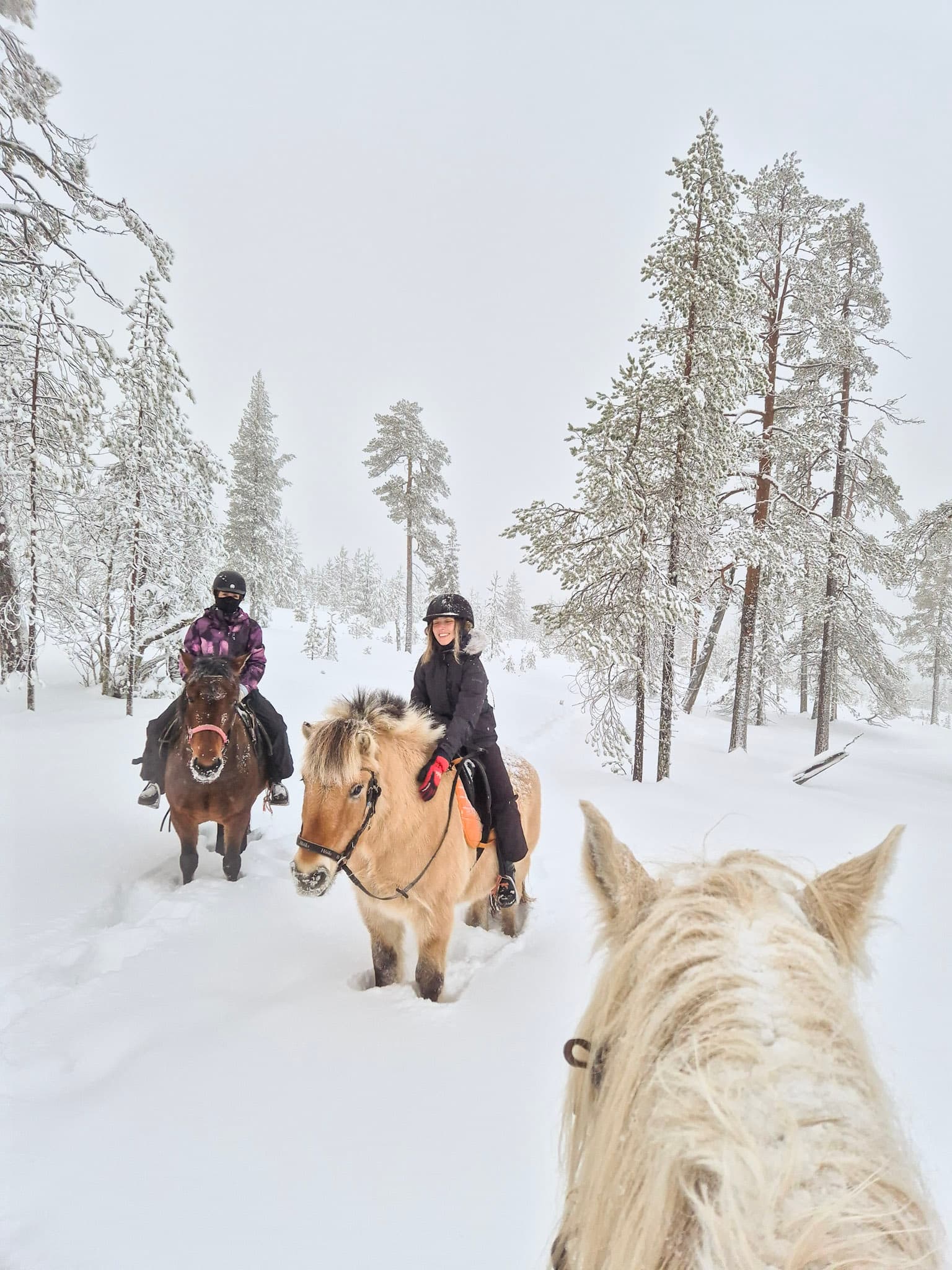 Horse trail riding to the snowy hill