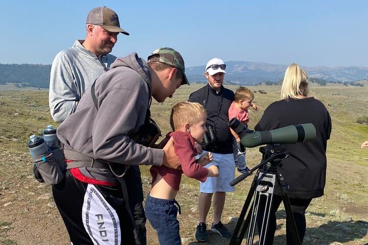 Yellowstone Full-Day Upper Loop with Wildlife Adventure w/Lunch