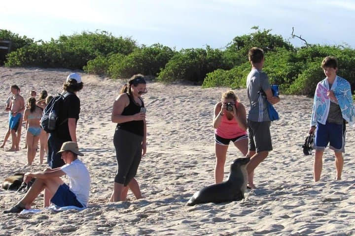 GALAPAGOS ISLAND HOPPING (6 Days)