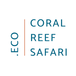 Mindoro Coral Reef Safari