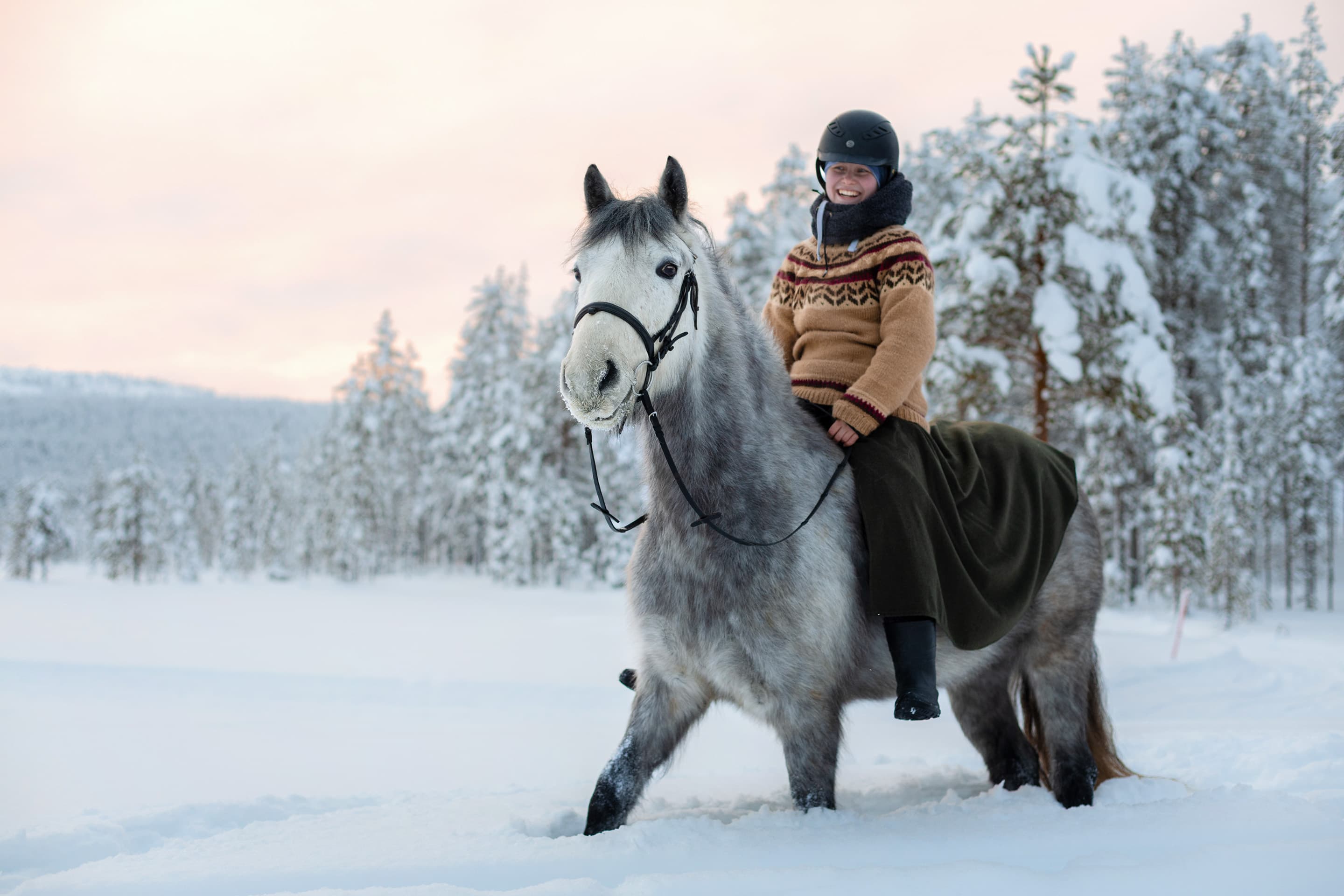 Bear's Way – Horseback trail ride