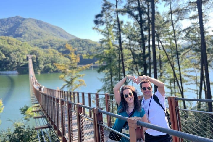 DMZ Tour from Seoul: NK Defector, 3rd Tunnel & Suspension Bridge