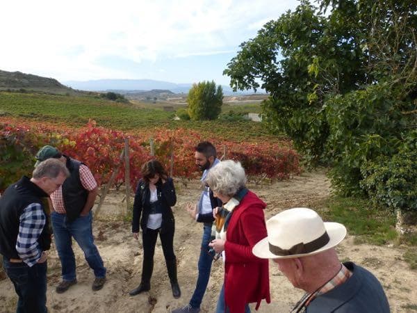 Private Day Trip to  Rioja Alavesa Wine Region from Bilbao