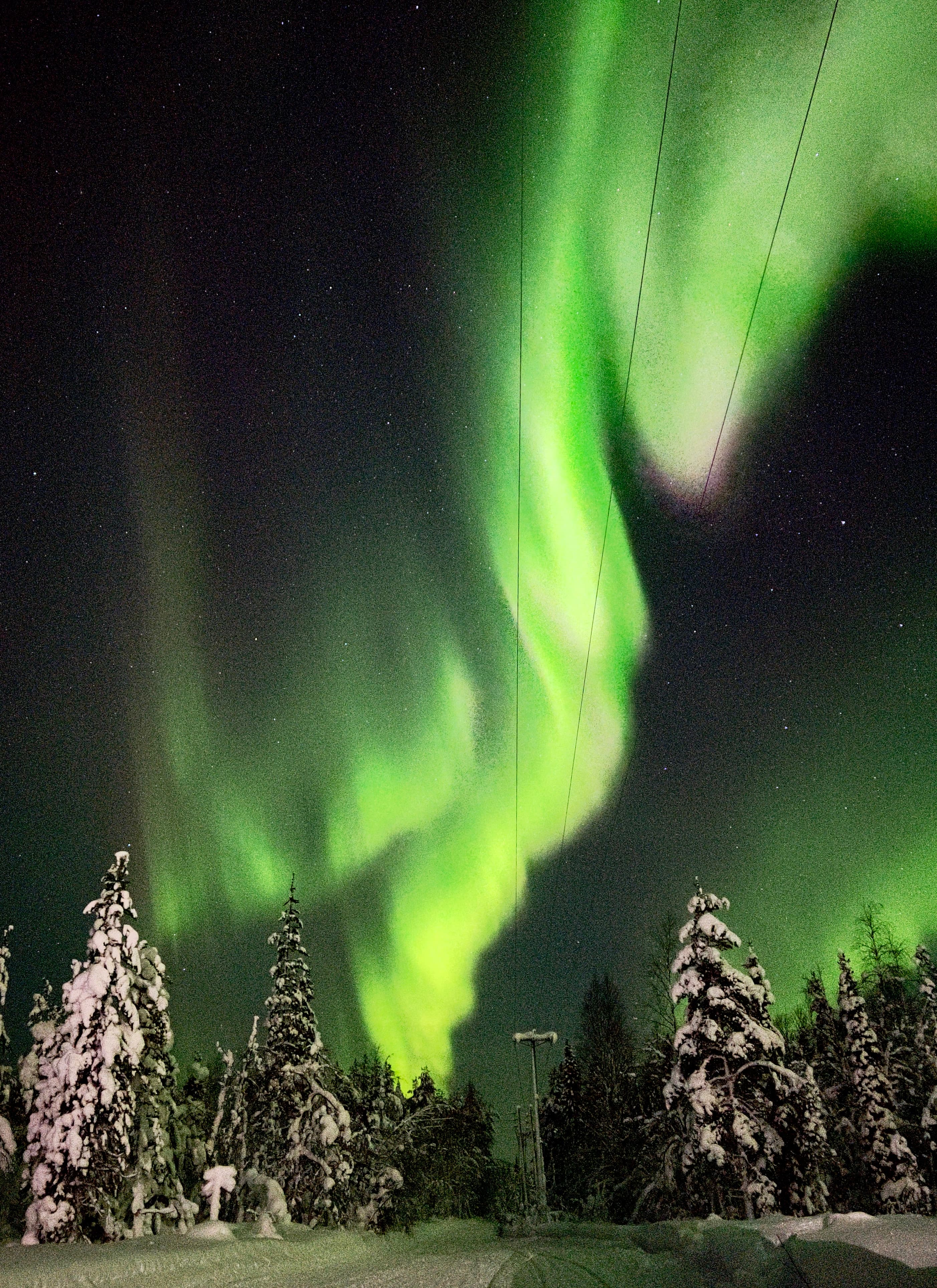 Private Midnight Snowshoe Trip