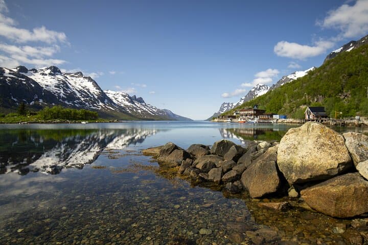 Tromsø: Fjord Adventure Tour with Wildlife and Lunch