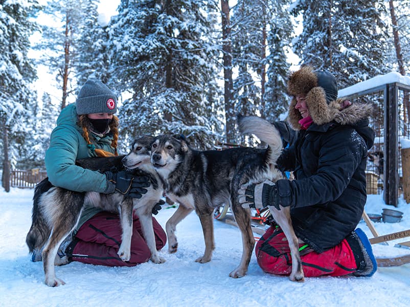 Winter Husky kennel visit and dog cuddling, Levi