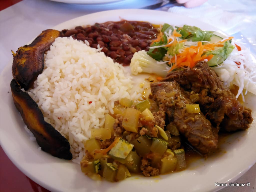 Desde San José Puentes Colgantes con Zip Line en bosque nuboso, le experiencia del día 
