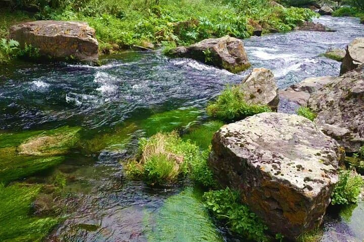 Fishing Tour from Tbilisi