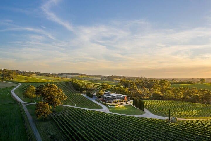 From Phoenix Private Vortex to Vineyard Tour