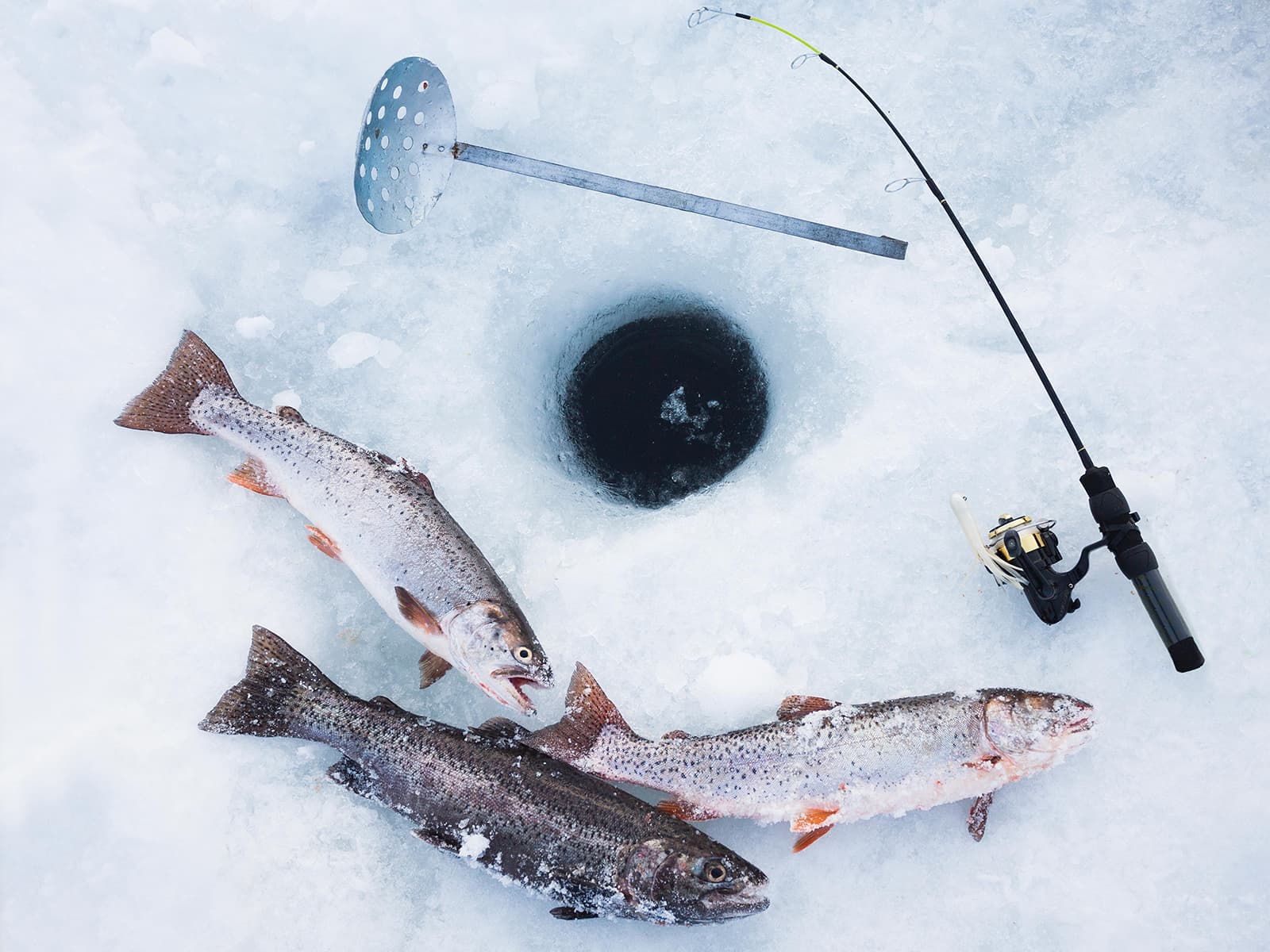 Snowshoeing and Ice fishing