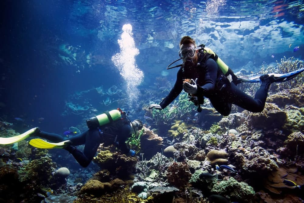 Hurghada Professional Diving Trip – Certified Divers Only