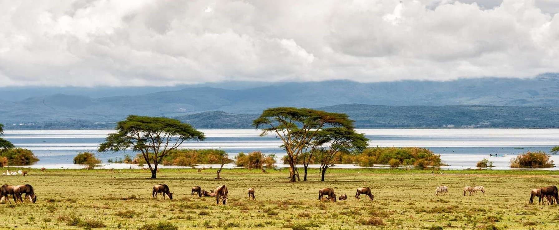 10 Days Africa Kenya Safari 