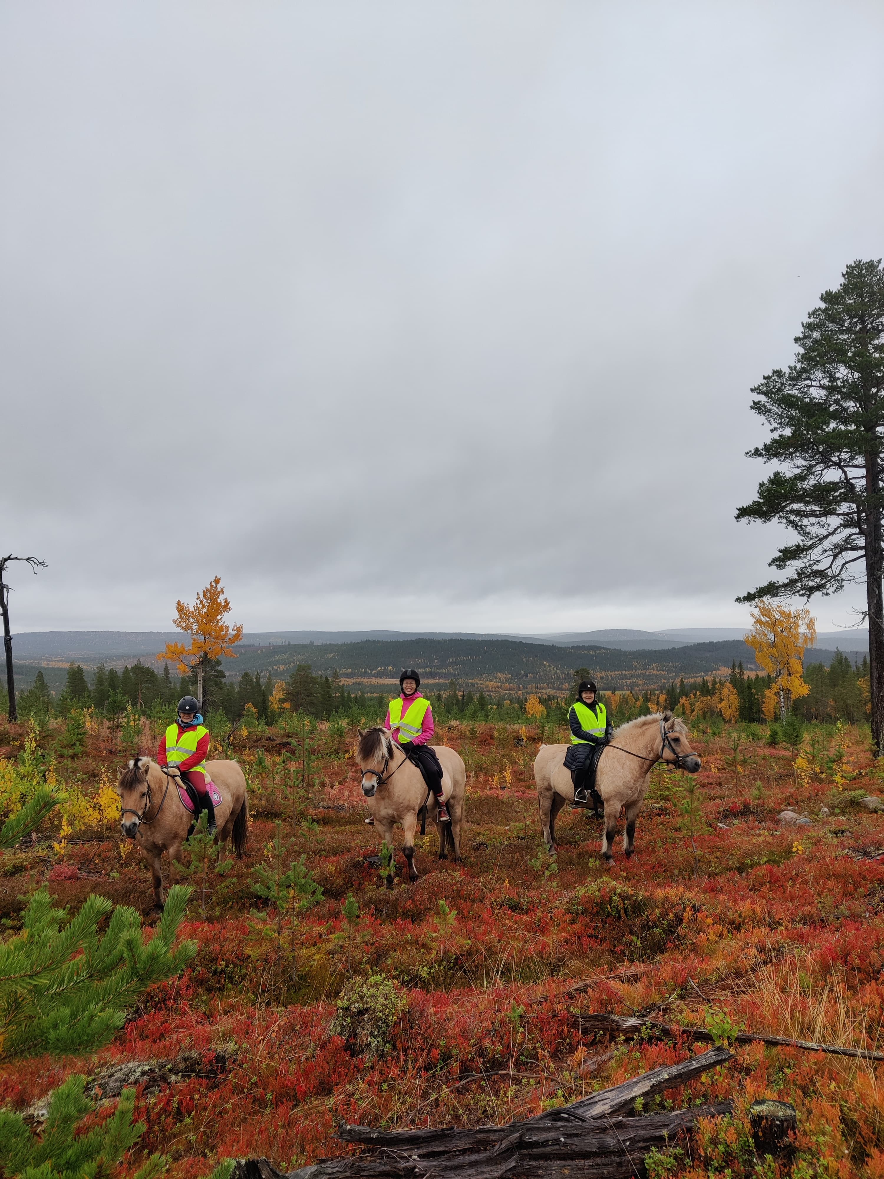 Moonlight horse riding tour