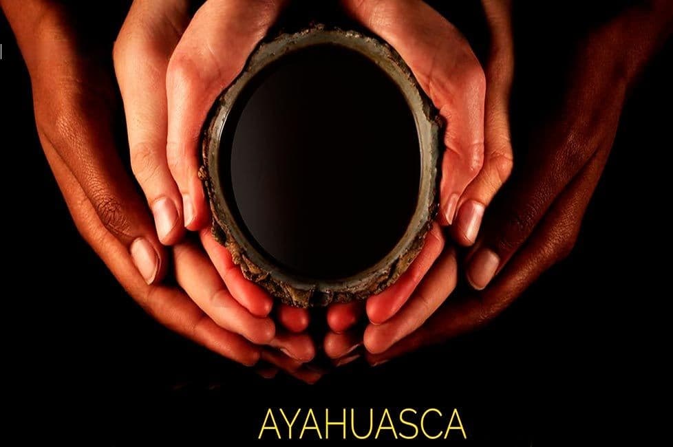 Cus-24 : Ayahuasca Discover - 1 Day of Self-Discovery