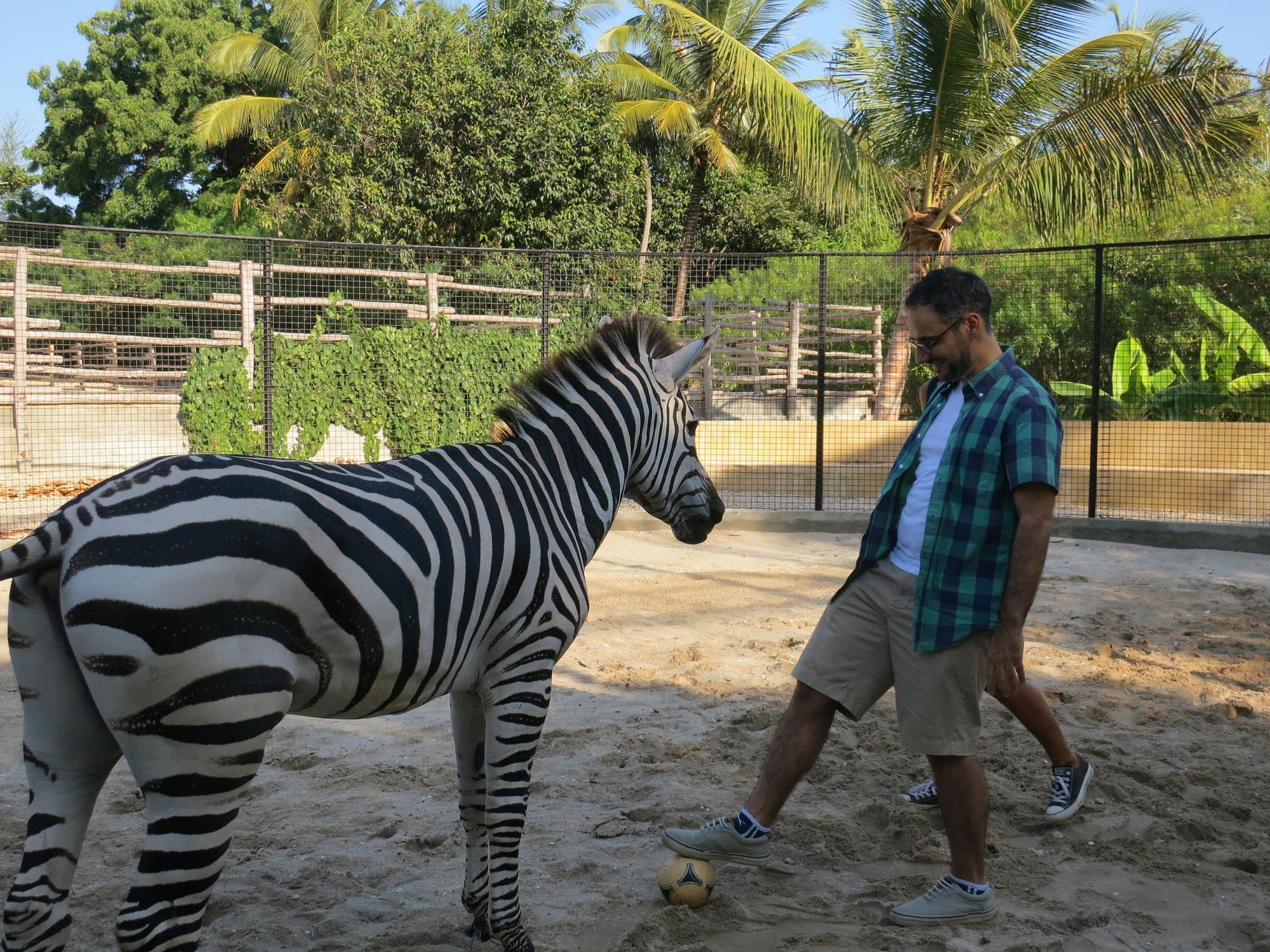 Zanzibar Wildlife Experience