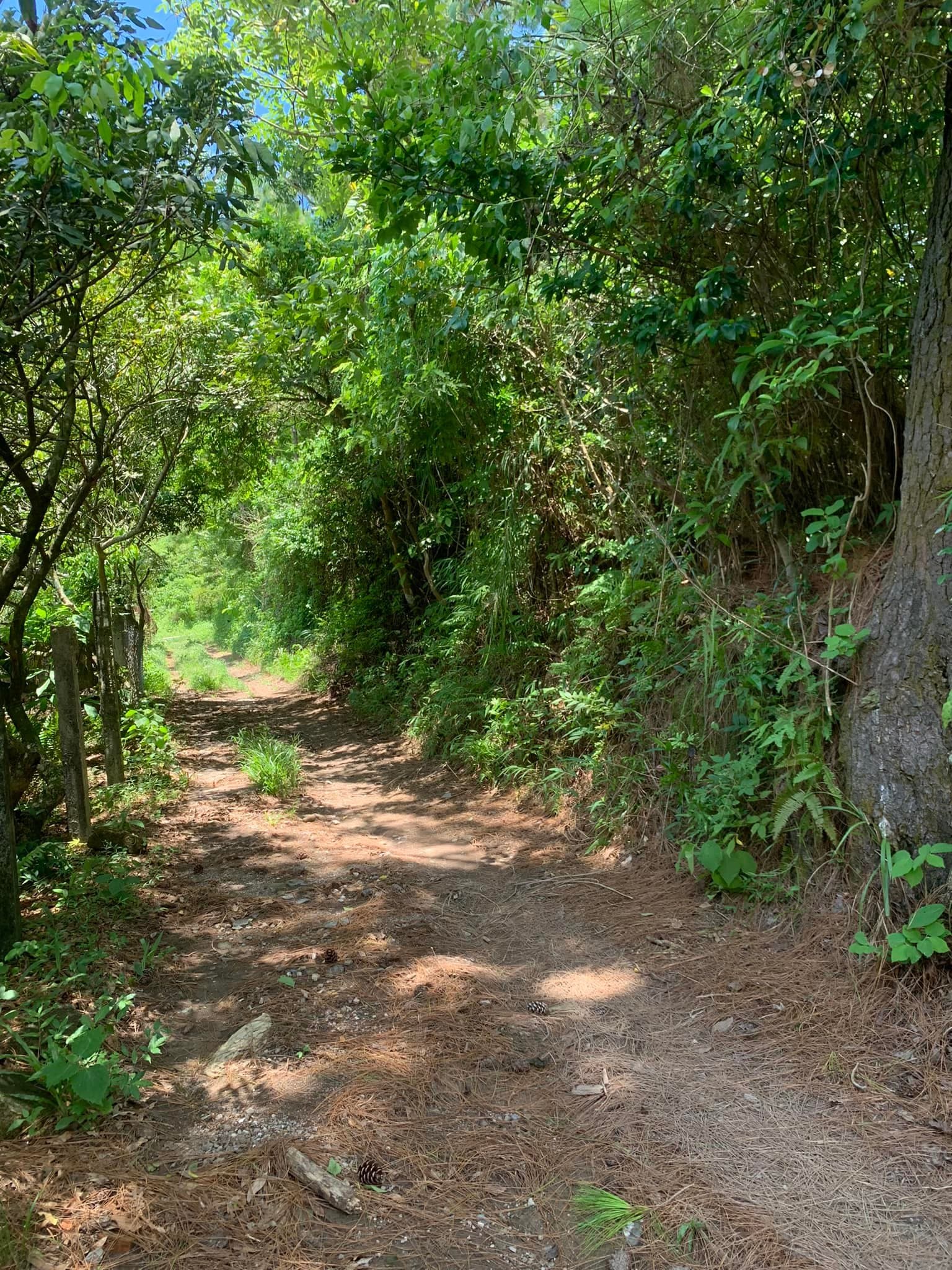 Scenic Cycling Loop Of Enchanting Cat Ba Island Full-day