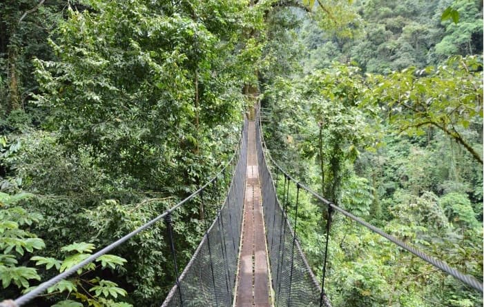 Rainmaker Park Tour from Manuel Antonio