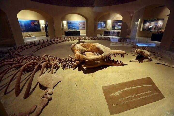 Fayoum Oasis Journey Echoes of Nature