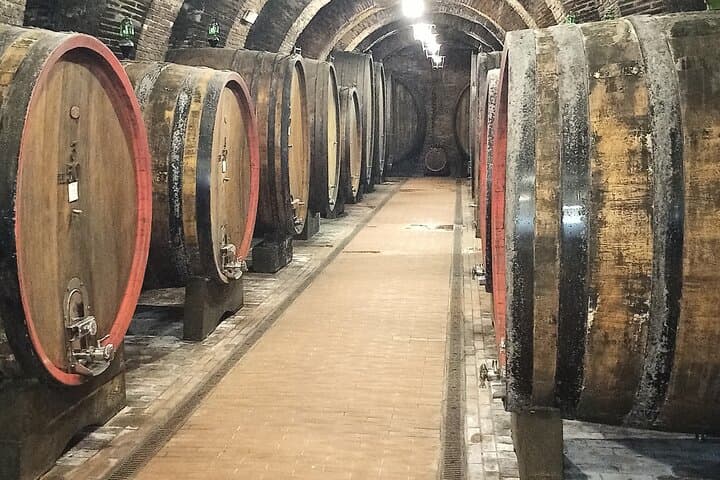 PRIVATE TOUR: Savor Exquisite Wines: Brunello & Nobile Wine Tour