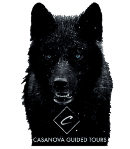 All Traffic Solutions