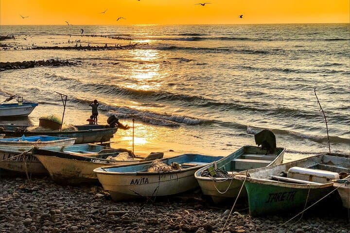 Private 2-hr Sightseeing, Guadalajara-Sayulita, local english speaking driver