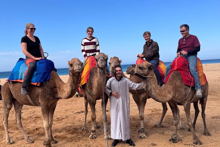 Tangier Luxury Day Trip from Tarifa/Malaga All inclusive 