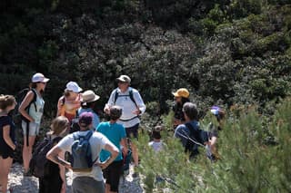  Randonnée - Sormiou et ses plantes magiques 