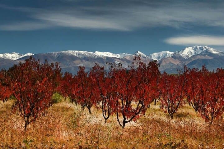 Cordon del Plata from Mendoza