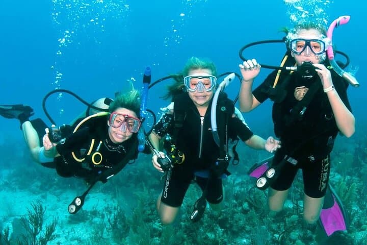 Fujairah: PADI Basic Scuba Diver Course
