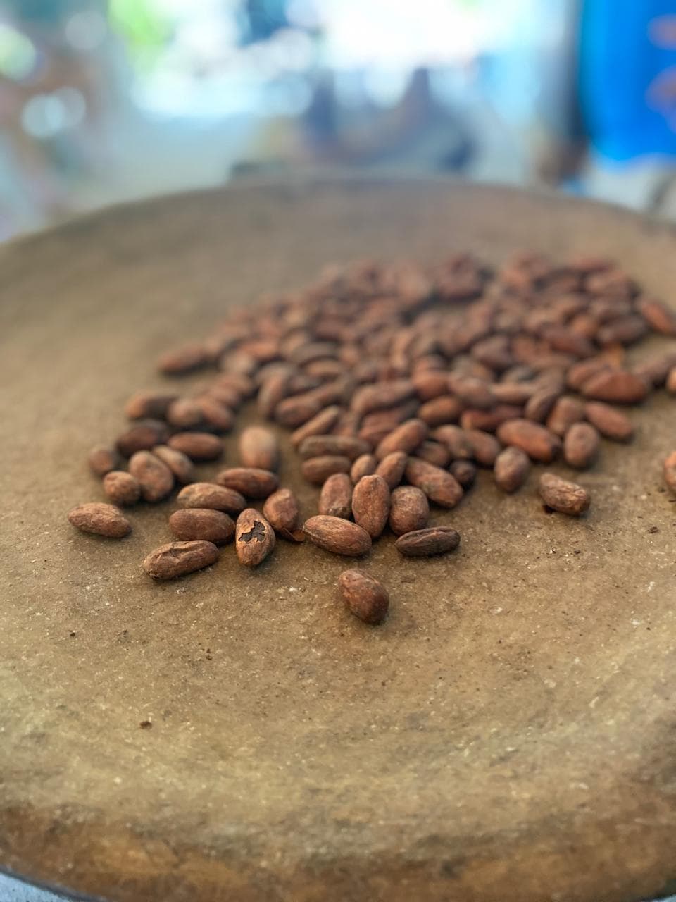 T10-Belize Maya Chocolate Making Experience