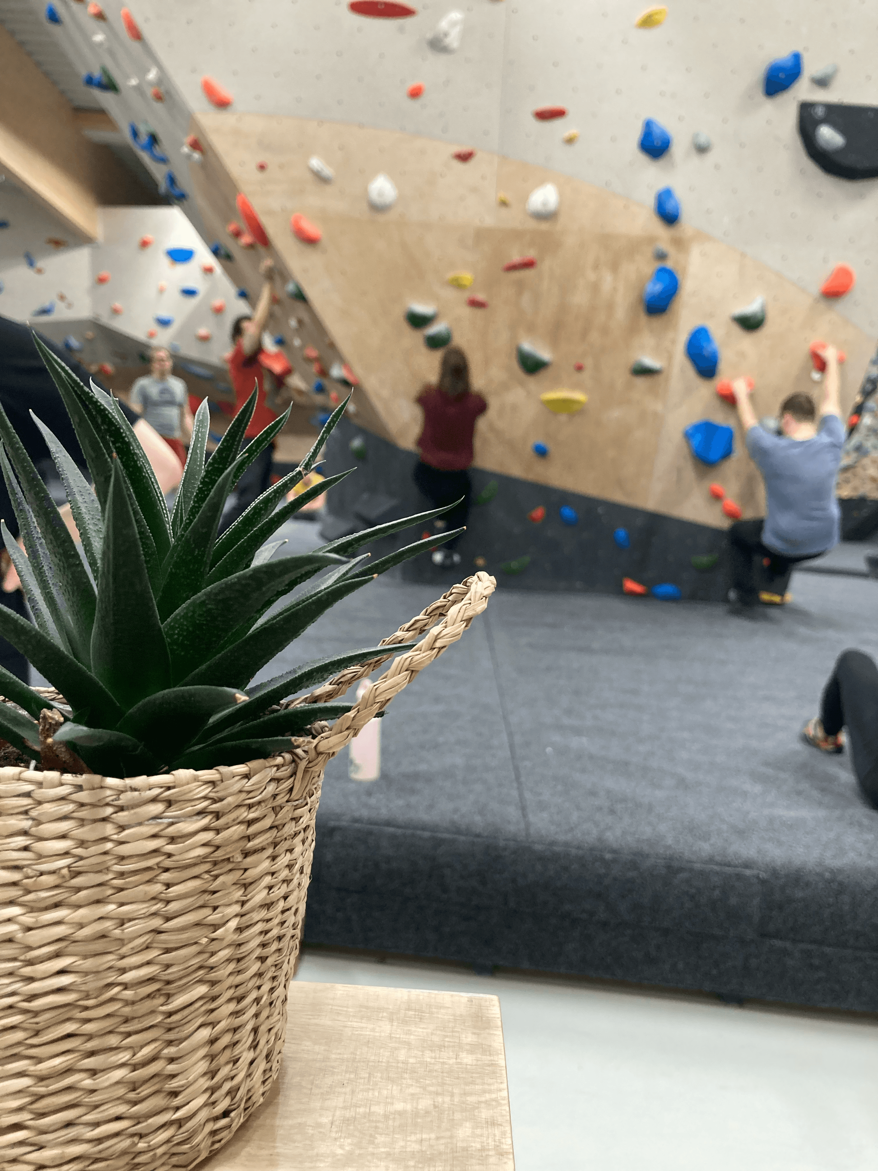 Rovaniemi Guided Climbing