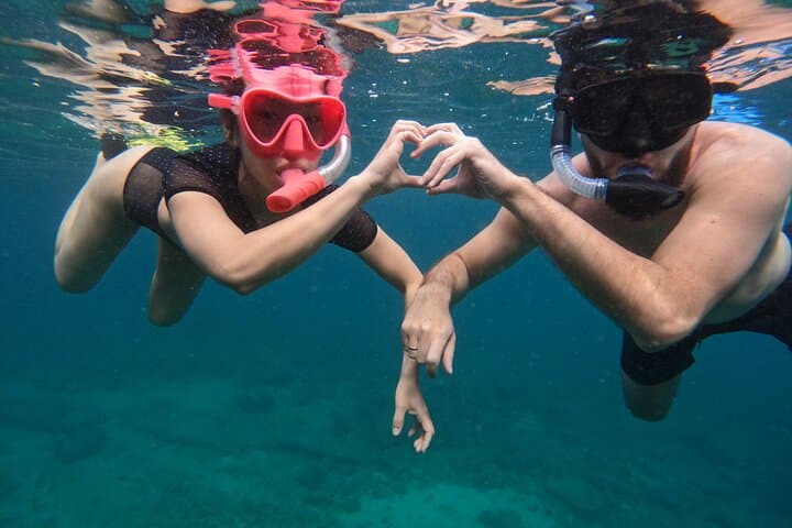 Snorkeling Adventure in Musandam with lunch