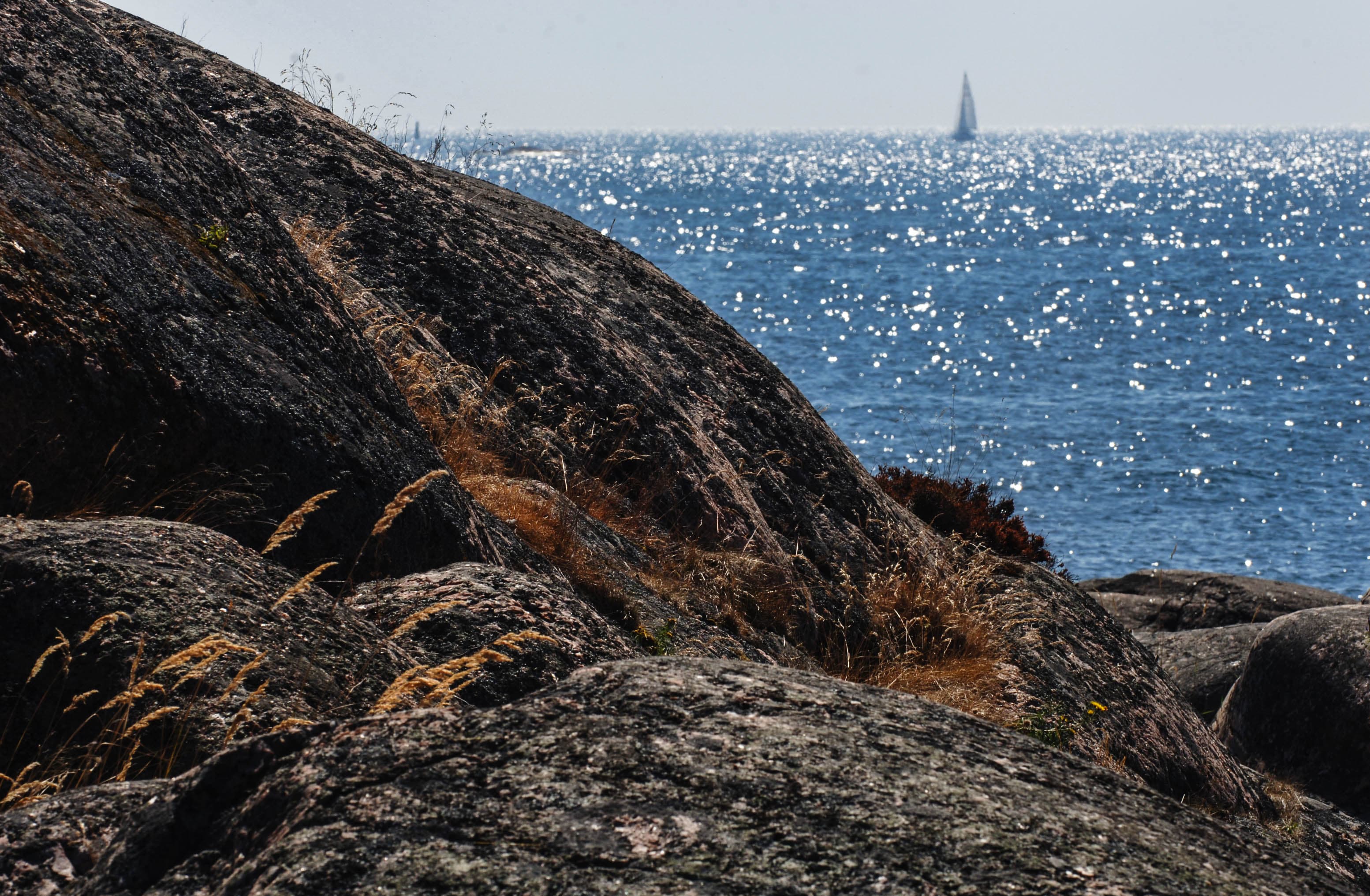 Redrib Private Island Experience