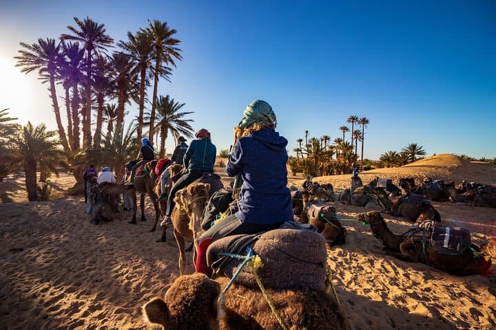 Desert Odyssey: 2 Days _ Marrakech to Merzouga Expedition 