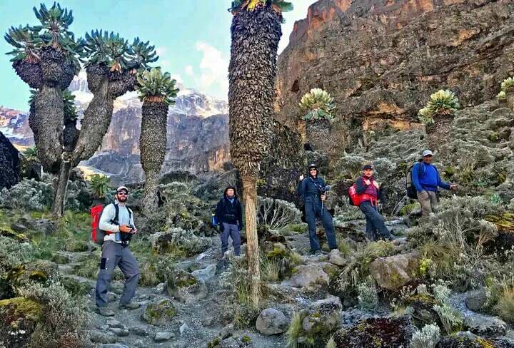 9-Day Mountain Kilimanjaro Trekking and Uganda Gorillas