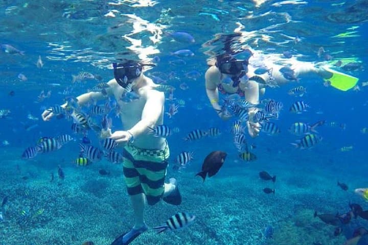 From Lembongan: Snorkeling Day Trip to Nusa Lembongan & nusa Penida island