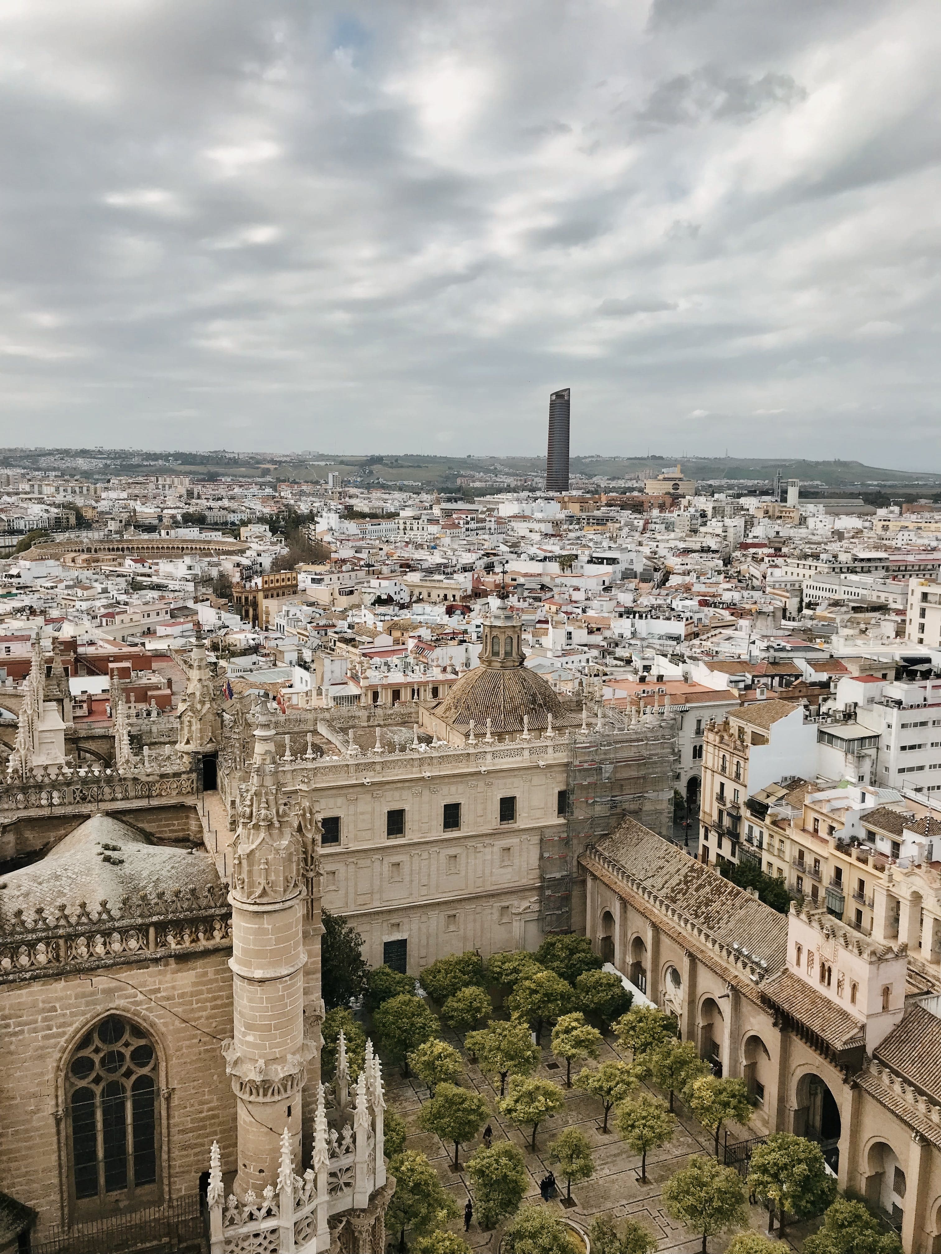 Seville Highlights Private Driving and Walking tour