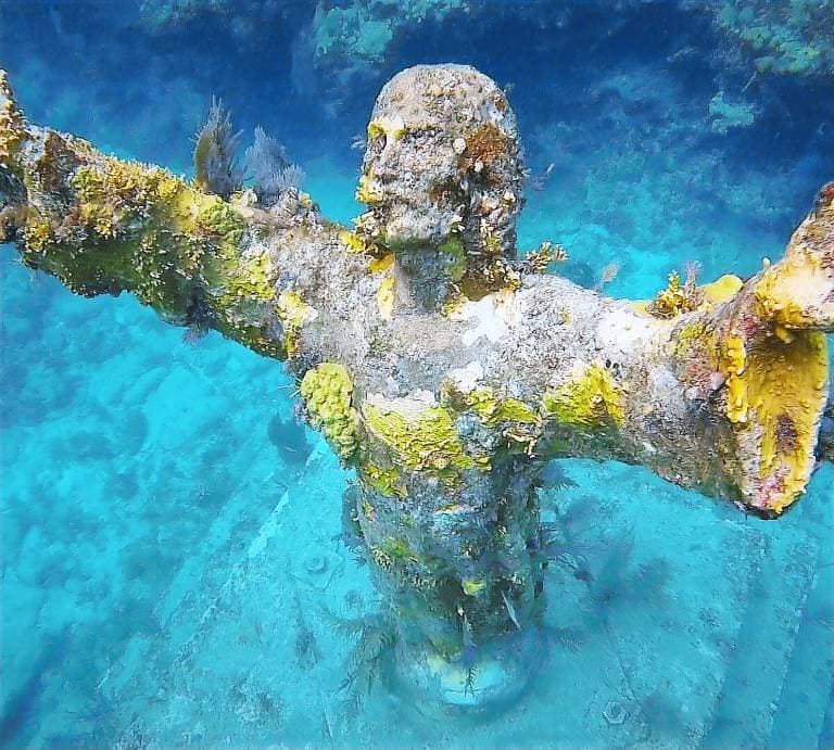 Key West Private Tour "Tailor Made"