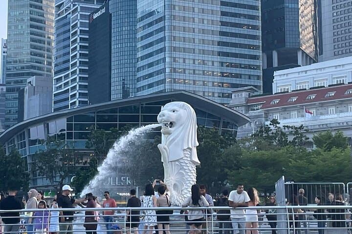 Morning Singapore City Tour w Gardens By The Bay Tickets