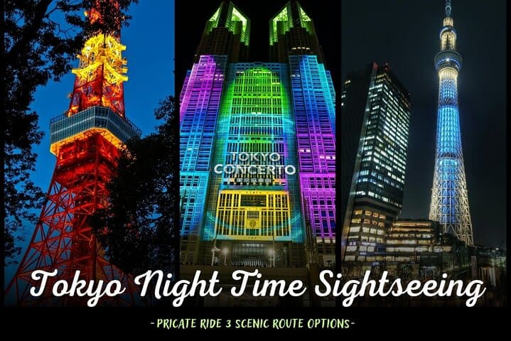 Tokyo City Lights Night Drive – 3-Hour Private Car Tour