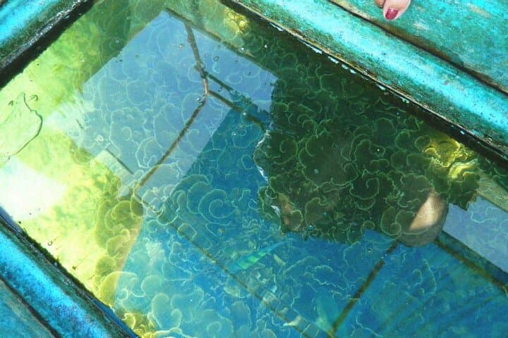 Private Glass Bottom Boat Ride in Trincomalee Beach Colombo