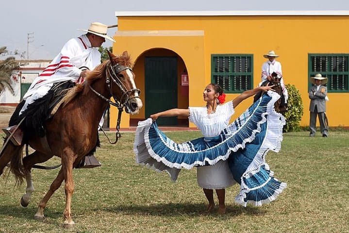 Peruvian Paso Horse & Marinera with lunch in Trujillo