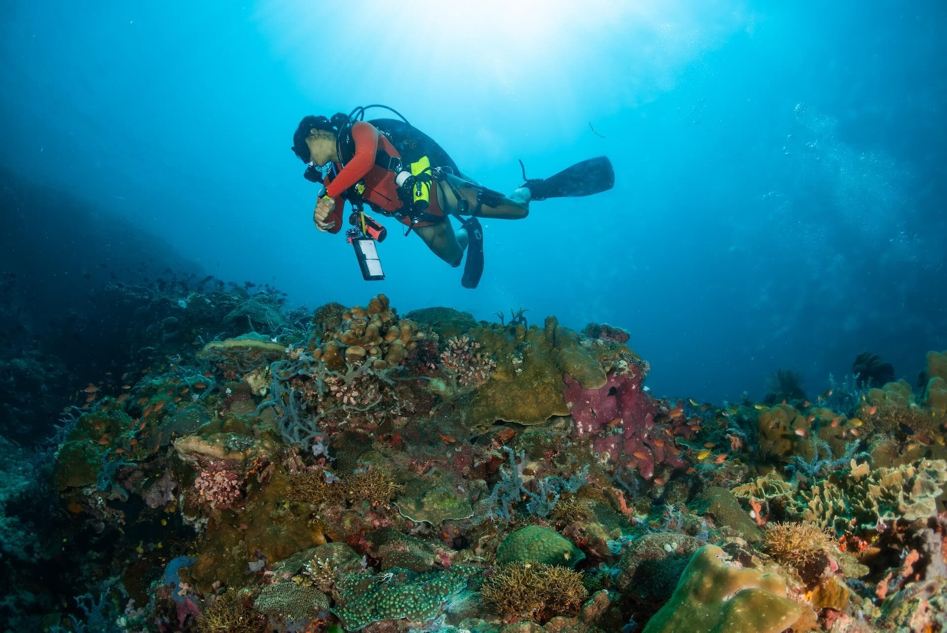 Hibo Reef & Surrounds — 2 Dive Exploration