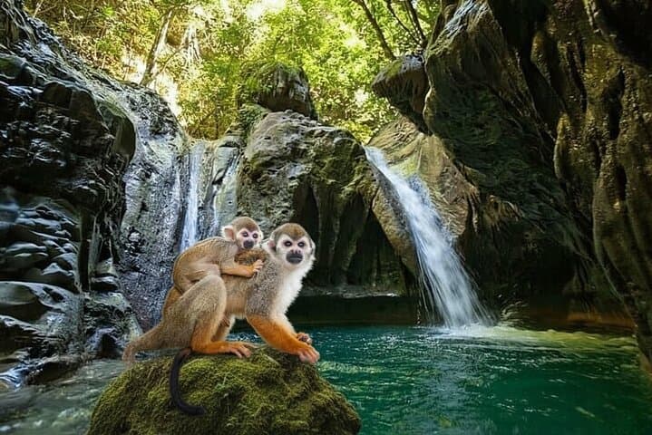 Combo : Damajagua and Monkeys Group Tour in Puerto Plata