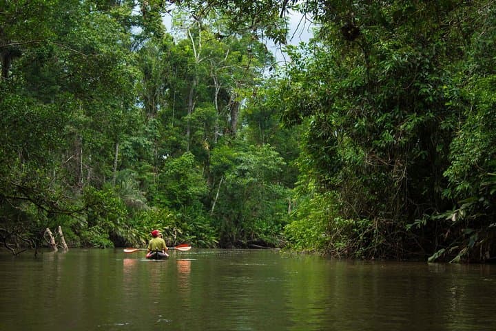 5-Day Amazon Cuyabeno & Papallacta Adventure
