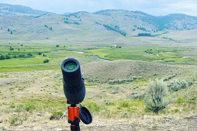 Yellowstone Lower Loop Geothermal Full-Day Private Guided Tour