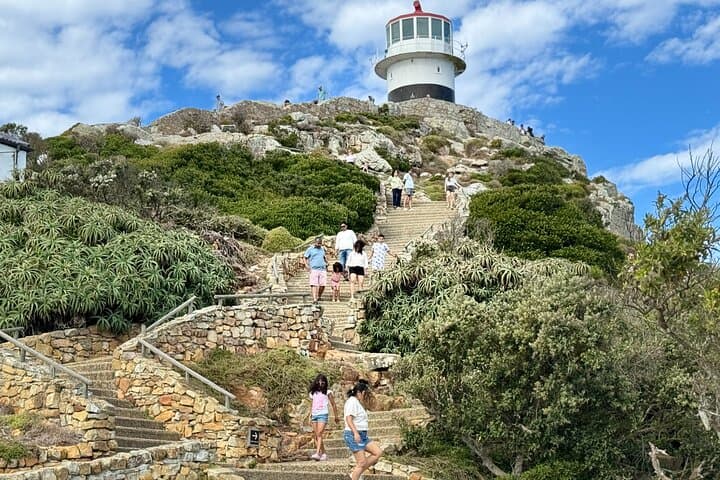 Cape Peninsula Cape of Good Hope and Penguins Tour in Cape Town