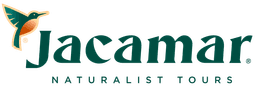 Jacamar Naturalist Tours
