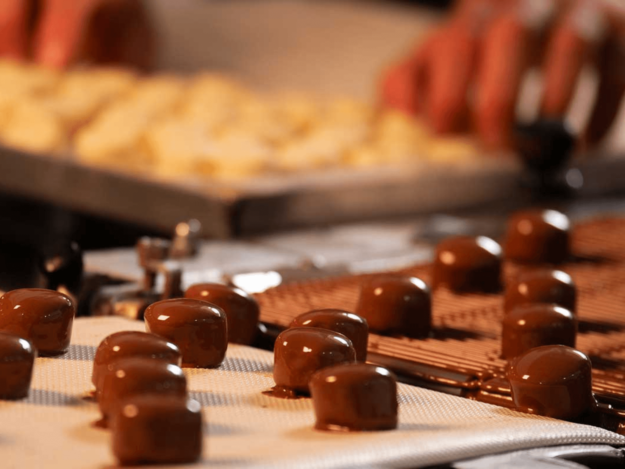 Chocolate Factory Tour, Making & Tasting in Perugia