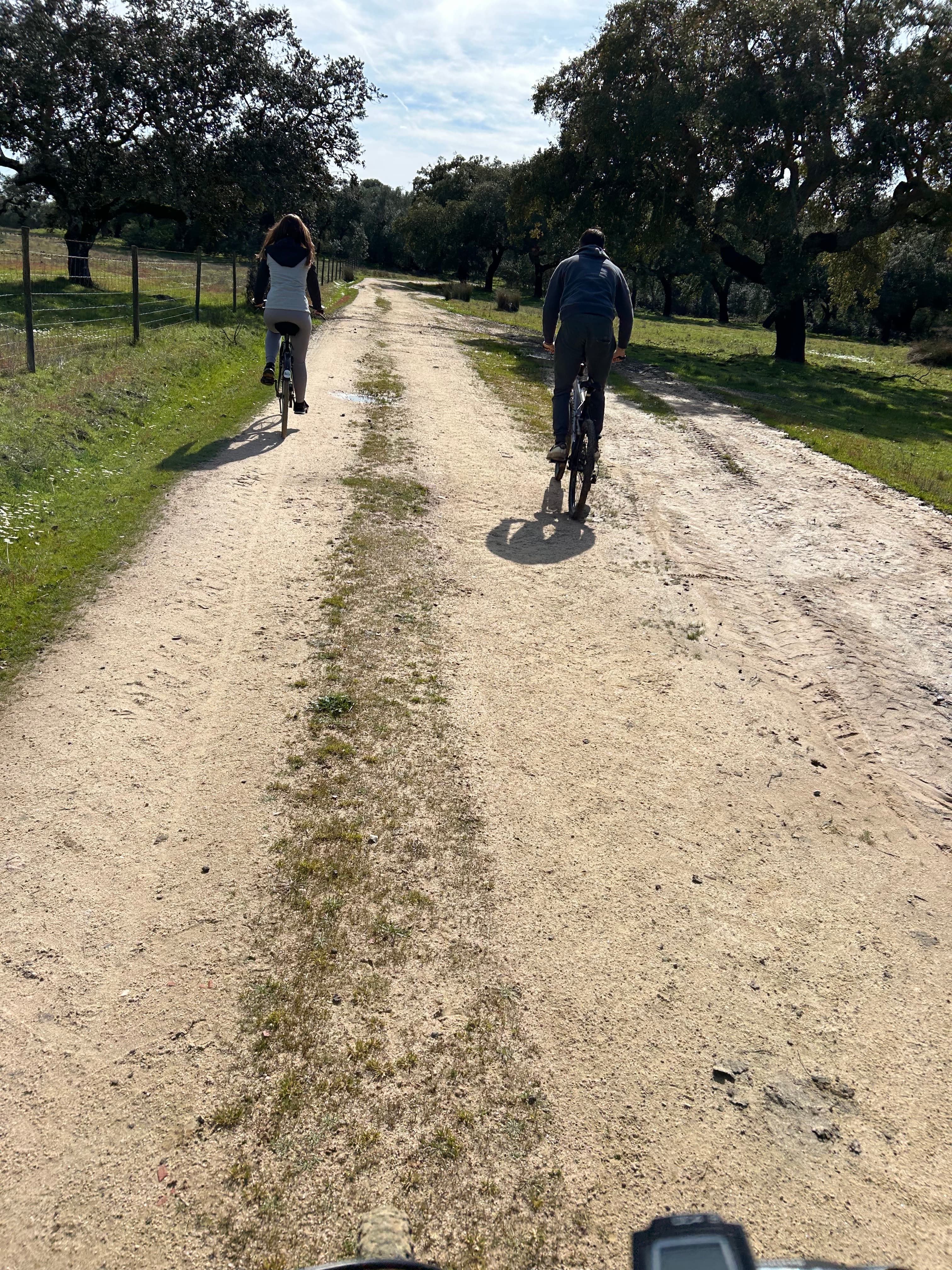From Montemor-o-Novo or Évora: Bike Tour through the Alentejo Montado